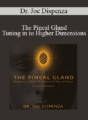 Dr. Joe Dispenza – The Pineal Gland – Tuning in to Higher Dimensions