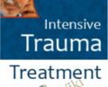 Dr. Bessel van der Kolks Intensive Trauma Treatment Course – Alexander McFarlane , Ed Tronick , Rachel Yehuda , Stephen Porges , Stephen J Suomi and Vincent Felitti