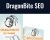 DragonBite SEO – Sreejan Niyogi
