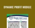 Dynamic Profit Module – Nirvana Systems