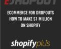 ECommerce for Dropouts – How To Make $1 Million On Shopify – HaimTheDropout