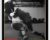 EMAX SAMBO MMA Leg Attacks  – Scott Sonnon