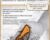 Early Intervention for Autism: Assessment and Treatment Strategies for Birth to 5 – Susan Hamre