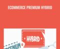 Ecommerce Premium Hybrid – Traffic