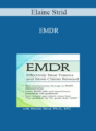 Elaine Strid – EMDR: Effectively Treat Trauma and Move Clients Forward