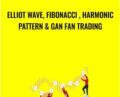 Elliot wave, Fibonacci , Harmonic pattern and GAN FAN trading – Satyendra Singh