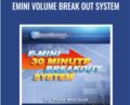 Emini Volume Break Out System – Todd Mitchell