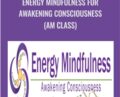Energy Mindfulness for Awakening Consciousness (AM Class) – Karen Wilson