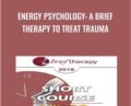 Energy Psychology: A Brief Therapy to Treat Trauma – Robert Schwarz