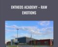 Entheos Academy – Raw Emotions – Angela Stokes