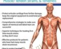 Evidence-Based Interventions for Osteoarthritis, Meniscal/Labral Lesions, Muscle/Tendon Strains, and Tendinitis – Michael T. Gross