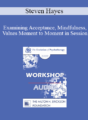 [Audio] EP09 Workshop 37 – Examining Acceptance, Mindfulness, Values Moment to Moment in Session – Steven Hayes, PhD