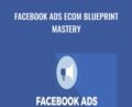 Facebook Ads Ecom Blueprint Mastery – Ricky Hayes