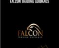Falcon Trading Guidance – Falcon FX Pro