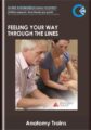 Feeling Your Way Through the Lines – Anatomy Trains