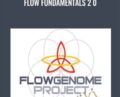 Flow Fundamentals 2 0 – Flow Genome Project