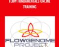 Flow Fundamentals Online Training – Flow Genome Project