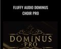 Fluffy Audio Dominus Choir Pro – Fluffy Audio