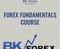 Forex Fundamentals Course – BK Forex