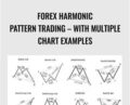 Forex Harmonic Pattern Trading-With Multiple Chart Examples – Luciano Kelly