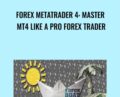Forex MetaTrader 4: Master MT4 Like A Pro Forex Trader – Kirill Eremenko
