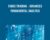 Forex Trading-Advanced Fundamental Analysis – Thomas White