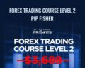 Forex Trading Course Level 2 – Pip Fisher