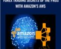 Forex Trading Secrets of the Pros With Amazons AWS – Hedge Fund Programmers AlgoDevelopment