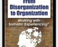 From Disorganization to Organization: Working with Somatic Experiencing® – Nancy Napier