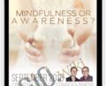Mindfulness or Awareness Sep-18 Telecall – Gary M. Douglas and Dain Heer