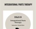 Integrational Parts Therapy – Gerald Kein