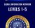 Global Information Network Levels 1-5 – Anoymously