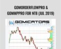 GomOrderFlowPro and GomMPPro for NT8 (Jul 2019) – Gomicators