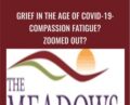 Grief in the Age of COVID-19: Compassion Fatigue? Zoomed Out? – Tian Dayton