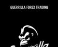 Guerrilla Forex Trading – Joshua Bunker