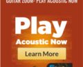 Guitar Zoom- Play Acoustic Now – Steve Stine