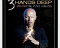 3 Hands Deep-Wing Chun Talking Hands – Harinder Singh Sabharwal