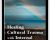 Healing Cultural Trauma with Internal Family Systems (IFS) – Frank Anderson