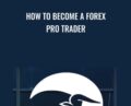 How To Become A Forex Pro Trader – Chris Capre
