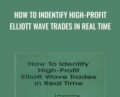 How To Indentify High-Profit Elliott Wave Trades in Real Time – Myles Wilson Walker