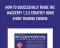 How To Successfully Trade The Haggerty 1,2,3 Strategy Home Study Trading Course – Kevin Haggerty