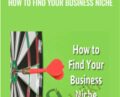 How to find your business niche – Alex Genadinik