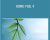 Hsing-I vol.4 – BKF – Bruce Kumar Frantzis