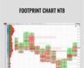 Footprint Chart NT8 – Indicatormall
