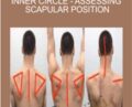 Inner Circle -Assessing Scapular Position – Mike Reinold