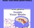 Inside Your Brain (Brain Works) – Eric H. Chudler