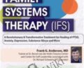 Internal Family Systems Therapy (IFS): A Revolutionary and Transformative Treatment for Permanent Healing of PTSD, Anxiety, Depression, Substance Abuse and More! – Frank G. Anderson