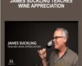 James Suckling Teaches Wine Appreciation – James Suckling