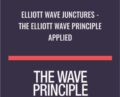 Elliott Wave Junctures – The Elliott Wave Principle Applied – Jeffrey Kennedy