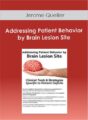 Jerome Quellier – Addressing Patient Behavior by Brain Lesion Site